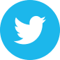 Twitter Social Link